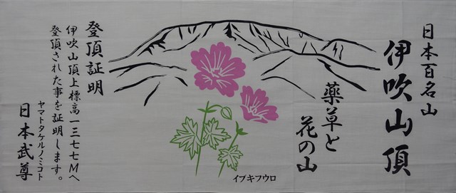 山の手拭い　山の花と岩柄